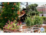 Family House Marija apartments Croatia