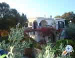 Villa Bepina Croatia Hrvatska