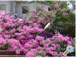 Apartman Mira Croatia Hrvatska