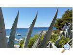 Apartmani Žeger apartments Croatia