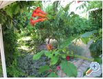 Apartmani Žeger apartments Croatia