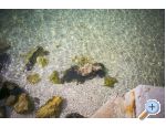 Apartmani Alebic apartments Croatia