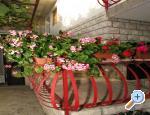 Apartmani Ana apartments Croatia