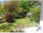Apartmani Ivic apartments Croatia