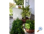 Apartmani Mare apartments Croatia