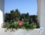 Apartmani Murtila apartments Croatia