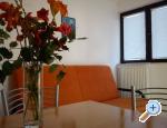 Apartmani Murtila apartments Croatia
