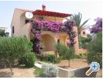 Apartments Zizic apartments Croatia