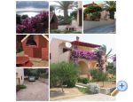 Apartments Zizic apartments Croatia