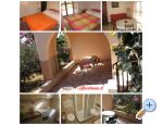 Apartments Zizic apartments Croatia