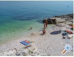 Apartments Domic apartments Croatia