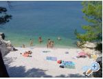 Apartments Domic apartments Croatia