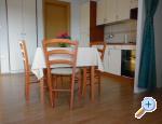 Apartments Flores apartments Croatia