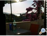 Apartments Paneta apartments Croatia