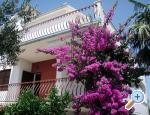 Apartm�ny Matijaca apartments Croatia