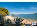 Apartm�ny Samac apartments Croatia