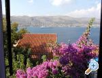 Olimpia apartment apartments Croatia