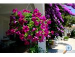 Pansion Jeric apartments Croatia