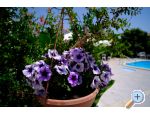 Pansion Jeric apartments Croatia