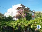 Apartments Roza Croatia Hrvatska