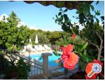 Apartments Zgogo apartments Croatia
