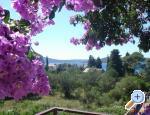 Apartmani Branko Vidakoviĉ apartments Croatia