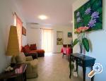 Apartments Ferina Poljana apartments Croatia