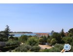 Apartments Crnkovic Umag apartments Croatia