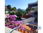 Apartmani Delfin Croatia Hrvatska
