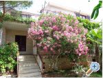 Ivan Apartments Croatia Hrvatska