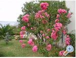 Apartmani Marija apartments Croatia