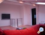 Apartment Zadar Croatia Hrvatska