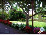 Apartm�ny Buljan apartments Croatia