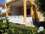 Apartments Antonia apartments Croatia