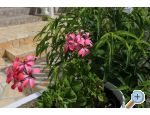  - Holiday Rtina - apartments Croatia