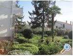 Apartman Irena apartments Croatia