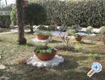 Apartman Irena apartments Croatia