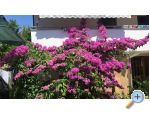 Lucija apartmány apartments Croatia