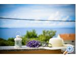 Villa IBIS apartments Croatia