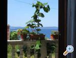 Villa Stipe apartments Croatia