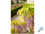 Villa Tereza apartments Croatia