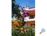 Villa Tereza apartments Croatia