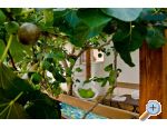 Villa Tereza apartments Croatia