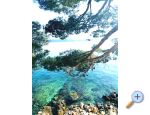 Apartmani Jelaš - Porat apartments Croatia
