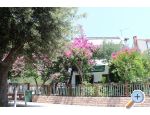 Apartmani Vila Filipovic apartments Croatia