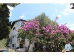 Apartmani Vila Filipovic apartments Croatia