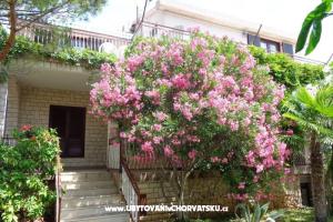 Apartmani  IVAN  – Vodice