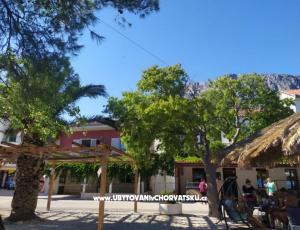 Apartmány Plavi Jadran