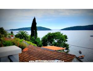 Apartm�ny Villa Riva Molunat