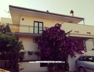 Apartmány Danica